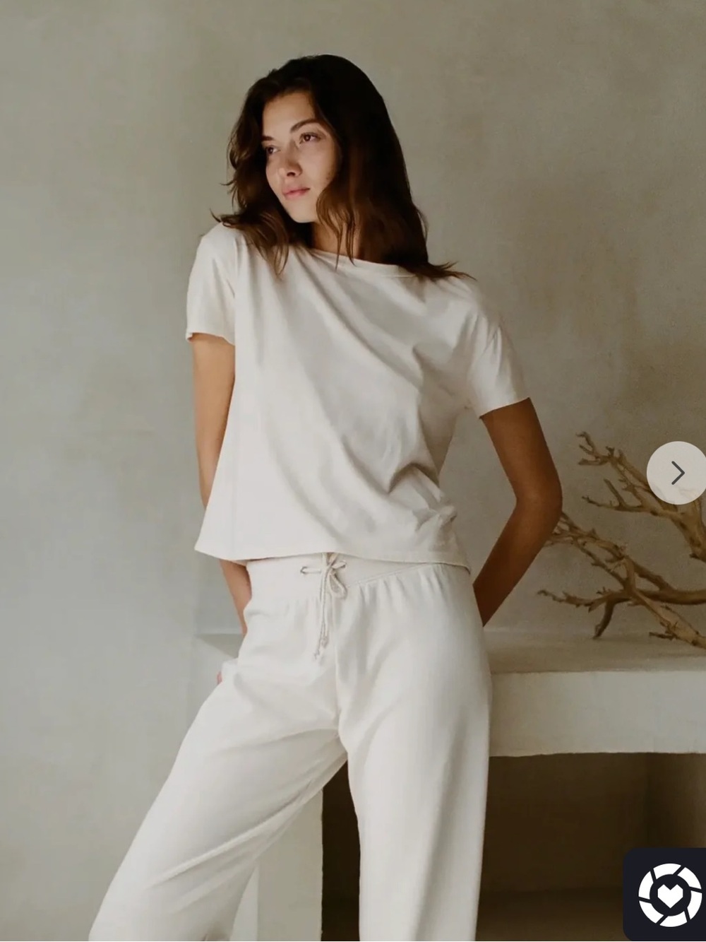 NWT Vinatge Boxy Tee